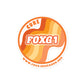 Cure FOXG1 - Orange Sticker