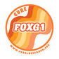 Cure FOXG1 - Orange Sticker